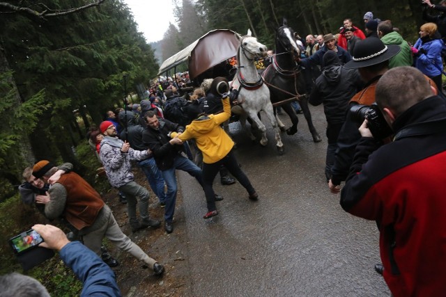 Przepychanki na drodze do Morskiego Oka pomiędzy obrońcami koni a fiakrami.