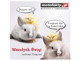 Życzenia na Wielkanoc od serwisu Motofakty.pl!