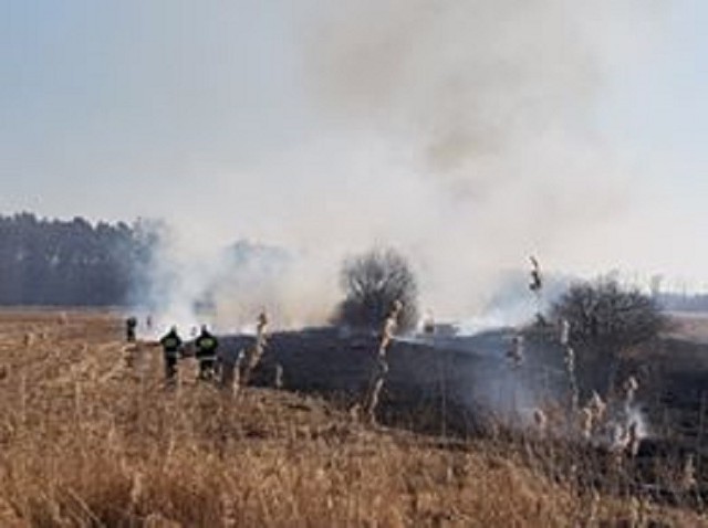 Płonie 13 hektarów nieużytków na przedłużeniu ulicy Noskowskiego w Białogardzie oraz za stadionem. W gaszeniu bierze udział 6 zastępów straży pożarnej.Zobacz także Pożar auta w Białogardzie