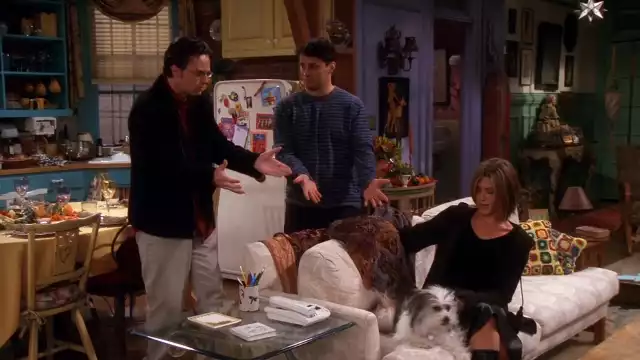 "The One Where Chandler Doesn't Like Dogs"/"Ten, w którym Chandler Nie Lubi Psów"Rachel jest mile zaskoczona, gdy jej asystent Tag zjawia się na zorganizowanym przez przyjaciół obiedzie z okazji Święta Dziękczynienia. Chłopak jest przybity, gdyż właśnie rozstał się z dziewczyną. Rachel próbuje go pocieszyć i oznajmia mu, że jest w nim zadurzona. Phoebe przemyca do domu szczeniaka, zmuszając rzekomo cierpiącego na alergię Chandlera, by przyznał się, dlaczego nie znosi psów.youtube