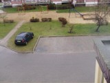 Kierowca parkuje na trawniku. A parking stoi pusty.               