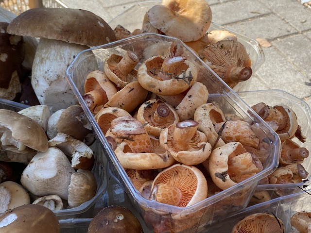 Duży wybór grzybów, ale też sezonowych owoców czy orzechów był na kieleckich bazarach w piątek 29 września. Zobaczcie, co można było kupić