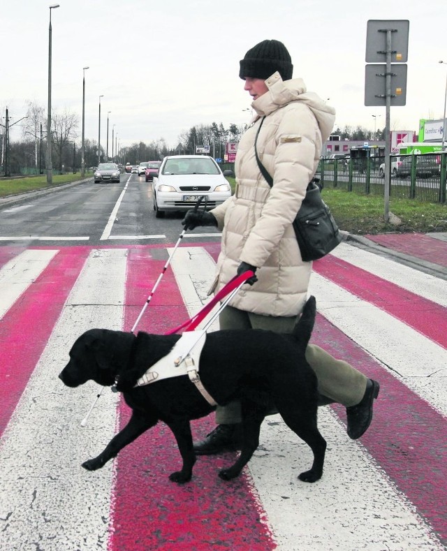 Labradorka Keja to oczy Moniki. Zapewnia jej niezależność