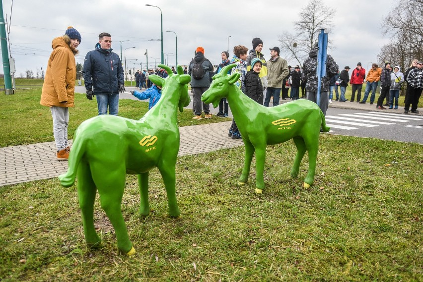 Katarzynki MPK: Poznaniacy zwiedzali zajezdnię tramwajową na...