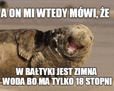 Morsowanie na wesoło - w internecie starcie zwolenników i...