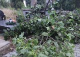 Połamane gałęzie na Cmentarzu Starym w Kielcach po piątkowej wichurze, która przeszła nad miastem [ZDJĘCIA]