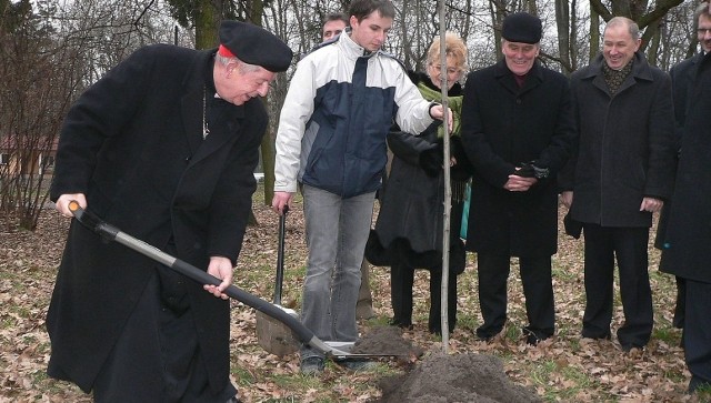 To pierwszy taki projekt w Polsce. Pierwsze drzewko w Alei Drzew Wielkich w Busku-Zdroju posadził w 2008 roku prymas Polski, kardynał Józef Glemp. Ostatnie, jak do tej pory - w miniony wtorek - gwiazdor muzyki pop Andrzej Piaseczny. Co oznacza, że tradycja sadzenia drzewek w kurorcie przez osoby z pierwszych stron gazet... ma już 10 lat! 24 stycznia 2008 roku - tak w chłodne, pochmurne popołudnie pierwsze drzewko w Alei Drzew Wielkich, w buskim parku zdrojowym posadził prymas Polski, kardynał Józef Glemp. Dąb Trzeciego Tysiąclecia otrzymał imię Józef.[B]POLECAMY RÓWNIEŻ:[/B]I Świętokrzyskie Forum Rolnicze. Transmisja telewizyjnaZOBACZ TAKŻE: TeleMagazyn - Michał Żebrowski o "pierwszym razie" z żoną 