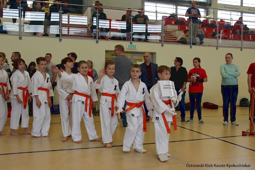 Ostrowski Klub Karate Kyokushinkai. 16 medali w dwóch...