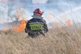 Szczyt głupoty w Kostrzynie. Ktoś podpalił łąkę w pobliżu osiedla i marketu (zdjęcia)