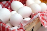 Liderem Wielkopolska. Ile jaj znoszą kury w poszczególnych województwach? 