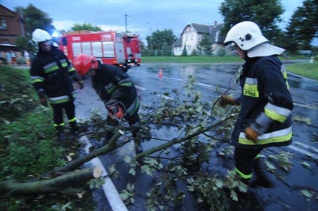 Strażacy OSP Łążyn6 Strażacy z OSP Łążyn usuwają pałamane przez burzę gałezie gałęzie