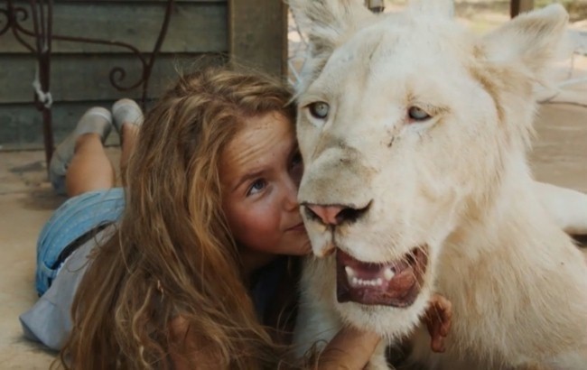 Kino Etiuda w Ostrowcu zaprasza na trzy filmy – „Corgi – Psiak królowej”, „Mia i biały lew” i „Kobiety mafii 2” 