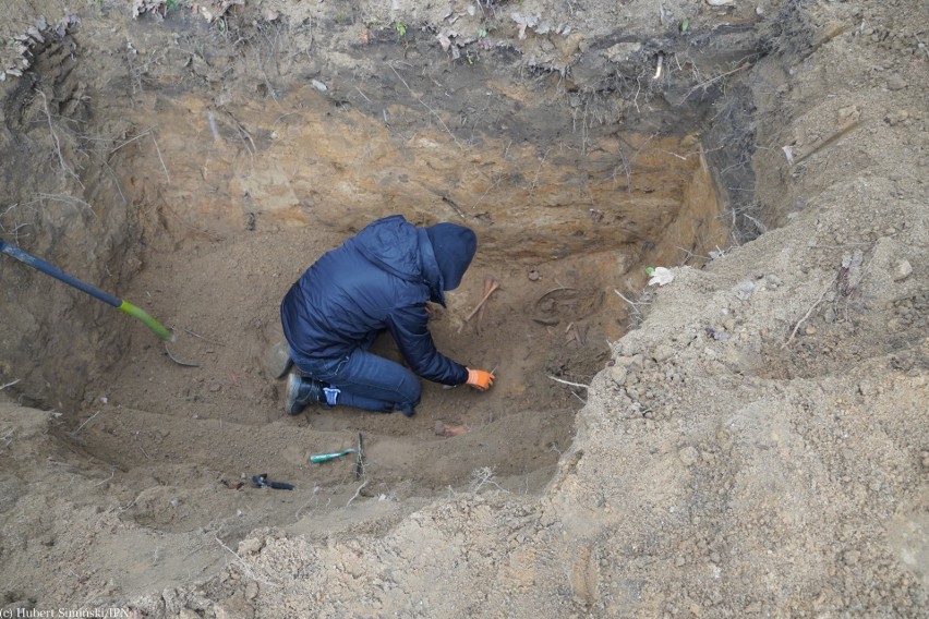 Czy na Cmentarzu Centralnym w Szczecinie odkryto szczątki ofiary systemu komunistycznego? Czas na badania