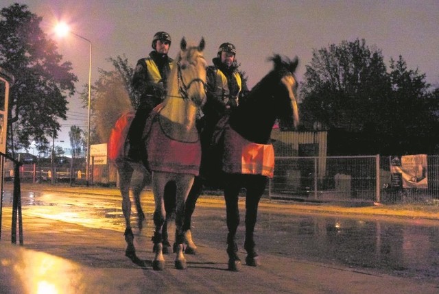 Straż Miejska w Łodzi oddelegowała 20 osób do patrolowania cmentarzy  Teren  nekropolii sprawdzają nocą strażnicy z noktowizorami i na koniach.
