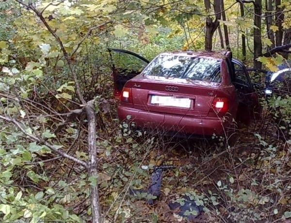 Audi zatrzymało się w zaroślach