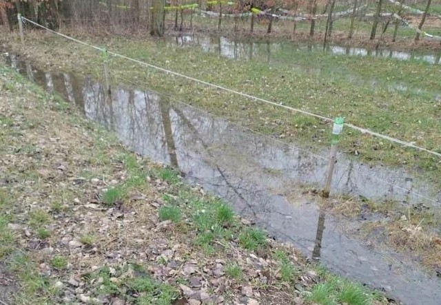 Dzielnicowy z Połańca znalazł nieprzytomnego mężczyznę w rowie z wodą w gminie Łubnice.