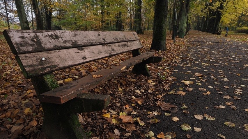 Rewitalizacja parku w Koszalinie. Będą nowe alejki, ławki, oświetlenie