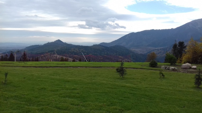 Tatry. Ścieżka w koronach drzew przyciąga tłumy