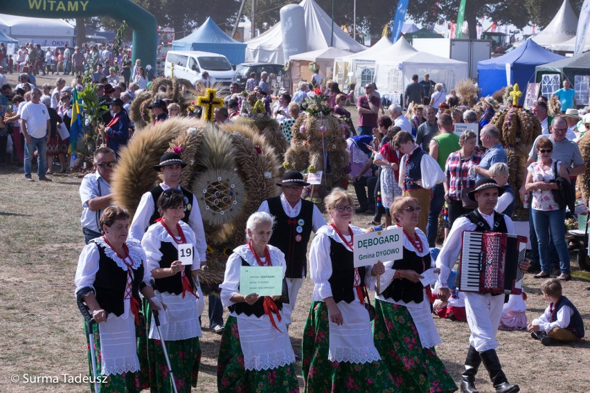 Dożynki na targach rolnych w Barzkowicach [ZDJĘCIA]