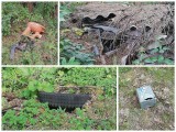 Gmina Krypno. Kolejne dzikie wysypisko śmieci na gminnej działce (zdjęcia)