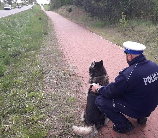 Policjant uratował zakleszczonego psa [zdjęcia]