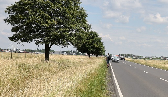 Między Lesznem a Lasocicami wzdłuż DK12 brakuje 1,5 kilometra trasy dla rowerów.