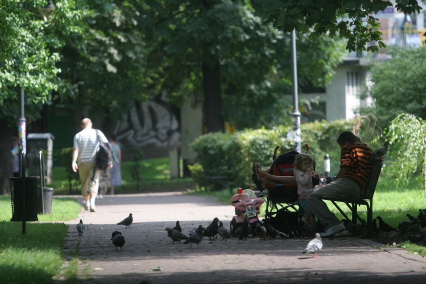 Inwazja komarów w Parku Śląskim zagraża nietylko nad wodą