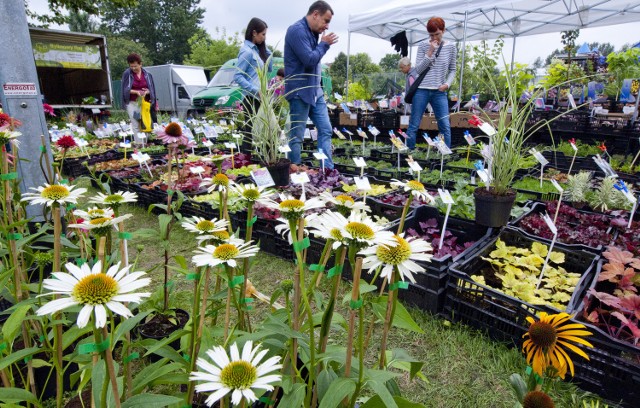 Giełda Ogrodniczo-Rolnicza w KoszalinieŁącznie na giełdzie pokazało się aż 60 wystawców z całego kraju.