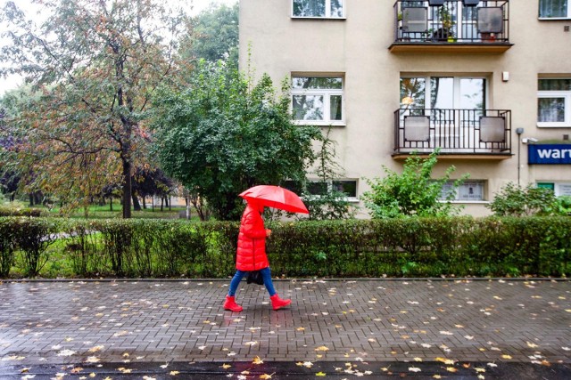 IMGW wydało ostrzeżenia dla niektórych regionów kraju.