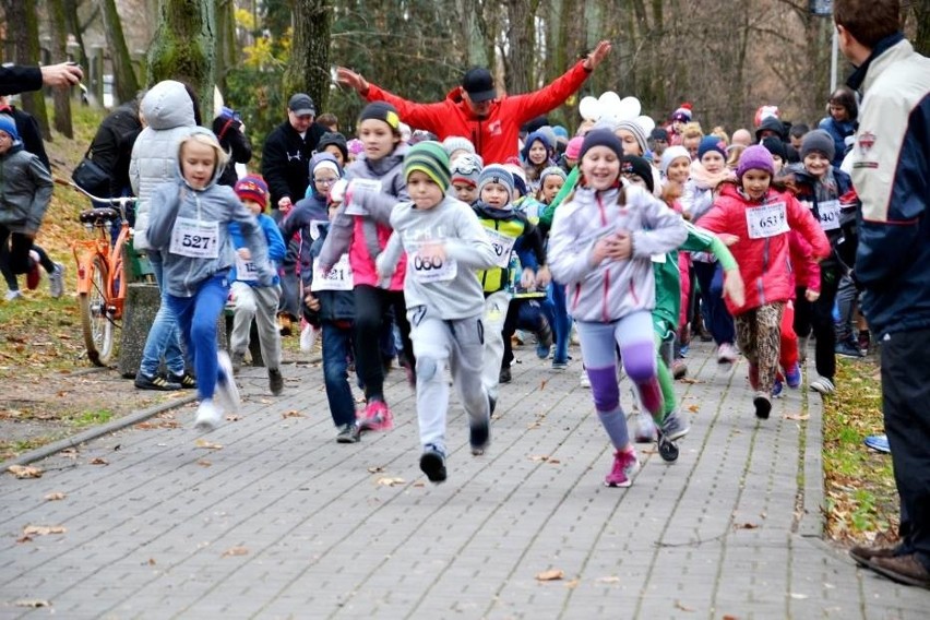 Weekendowe imprezy w Lubuskiem (4-6 listopada). Sprawdź, co i gdzie będzie się działo