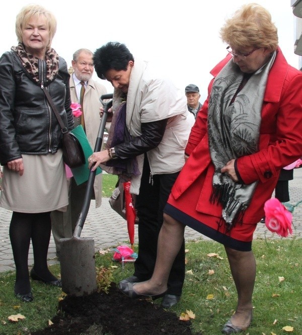 Halina Cecot, Joanna Senyszyn, Bożentyna Pałka-Koruba