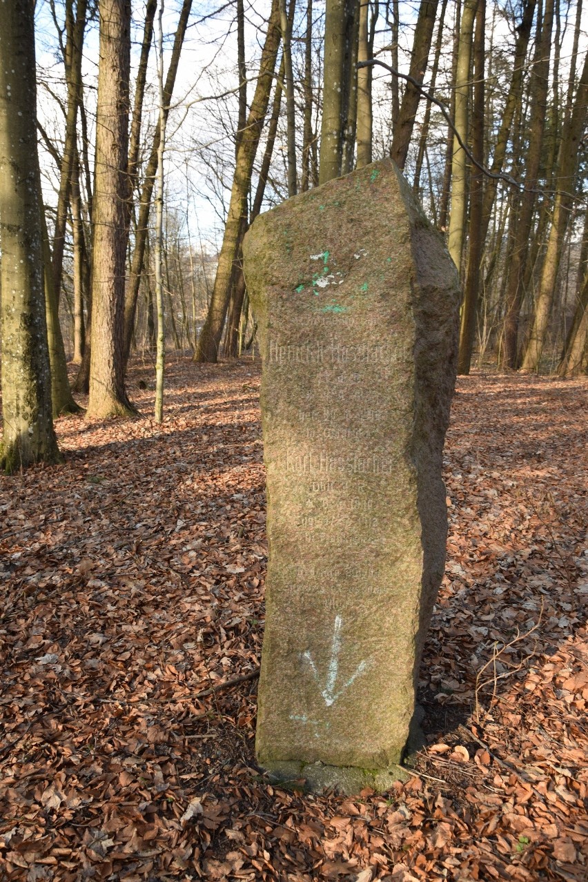 W środku parku został postawiony obelisk ku czci Hermana i...