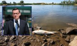 Skażenie Odry. Premier Mateusz Morawiecki zapowiada surowe kary dla sprawców zatrucia rzeki