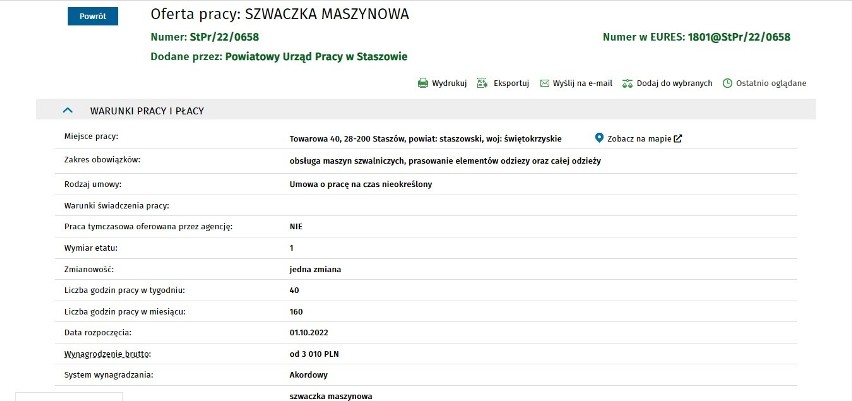 Nowe oferty pracy w powiecie staszowskim. Można zarobić nawet 7000 złotych! Zobacz gdzie?