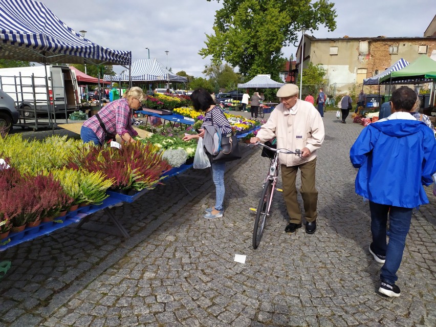 Lubliniec. Stanowiska kupców i Rady Gospodarczej Lublińca w sprawie przeniesienia targowiska