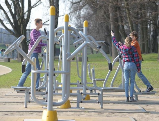 Siłownia w parku nad Odrą. O takie miejsca starają się niektóre dzielnice.