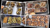 Na kieleckich bazarach wciąż mnóstwo grzybów. Zobacz jakie oferowano we wtorek 25 października i w jakich cenach
