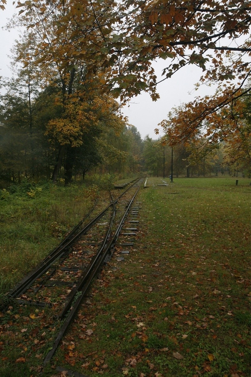 Tory kolejki w Parku Śląskim