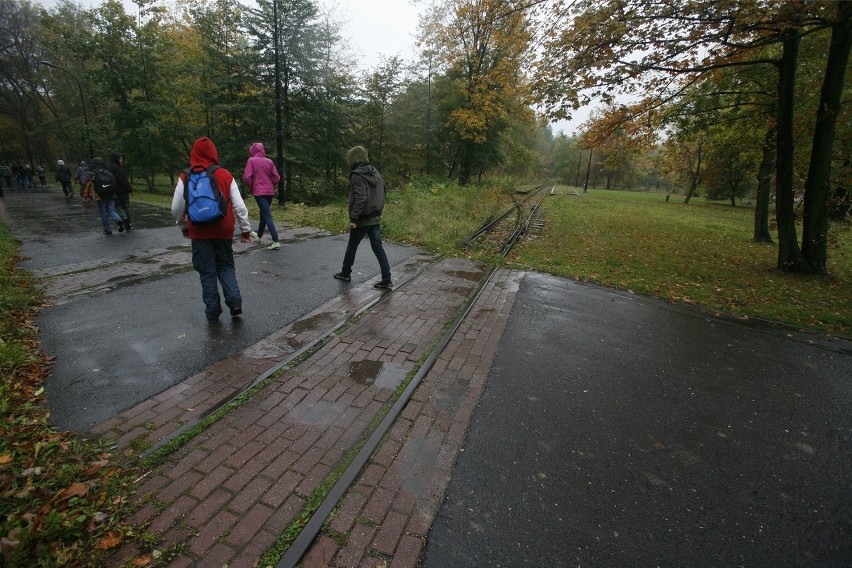 Tory kolejki w Parku Śląskim