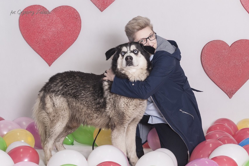 Wyjątkowa sesja fotograficzna w gdańskim schronisku Promyk. Akcja odbyła się pod hasłem „Pokochaj nie tylko w walentynki” [zdjęcia]