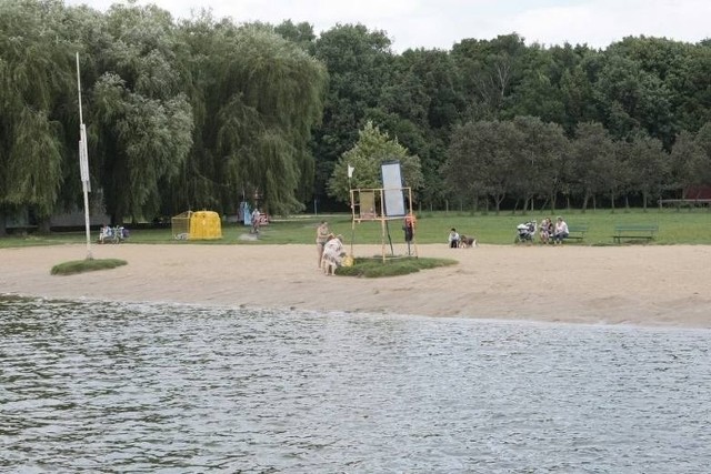 Familijny Poznań przejmuje kolejne "trudne miejsca" w mieście. Po tym jak zrezygnował dzierżawca plaży nad Rusałką fundacja ogłosiła, że chce być nowym zarządcą plaży.