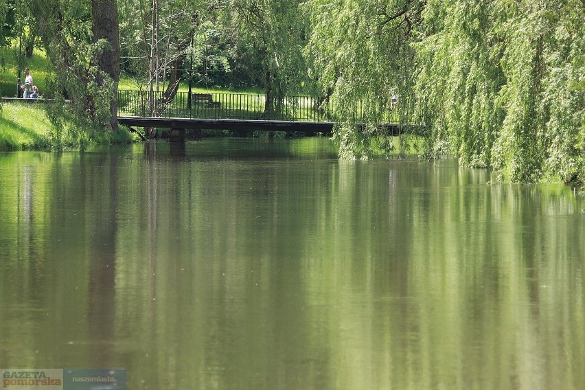 Park im. Sienkiewicza we Włocławku zostanie przebudowany na...