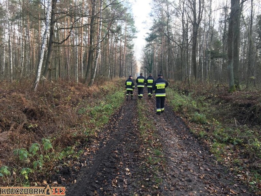 Akcja poszukiwawcza w Wołczynie.