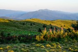 Zobacz zdjęcia naczego Czytelnika z wyprawy na Bukowe Berdo w Bieszczadach