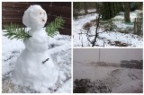 Śnieg na Podlasiu. Tydzień przed nadejściem wiosny zaatakowała zima [14.03.2020]