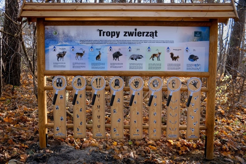 Biebrzański Park Narodowy. Nowa infrastruktura i atrakcje turystyczne w Osowcu-Twierdzy i przy leśniczówce Trzyrzeczki [zdjęcia]