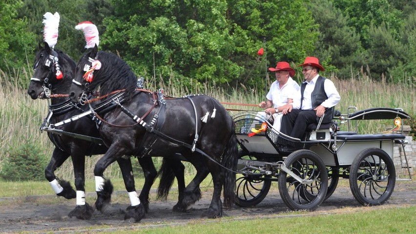 10. Parada Konna w Żarówce (gmina Radomyśl Wielki). Jedna z głównych ról przypadnie marszałkowi Józefowi Piłsudskiemu.