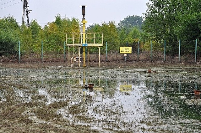 W niektórych miejscach na terenie oczyszczalni ścieków w Tarnobrzegu-Zakrzowie wciąż zalega woda.