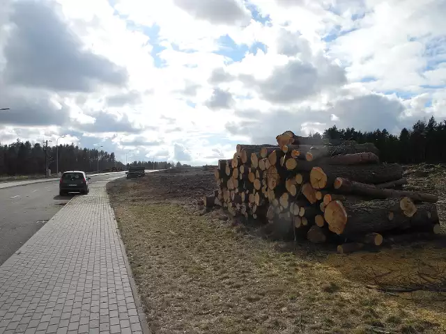 Przy wycince drzew na terenie Podstrefy Płaszewko SSSE były spełnione wszystkie przepisy, zapewniają władze gminy Słupsk.