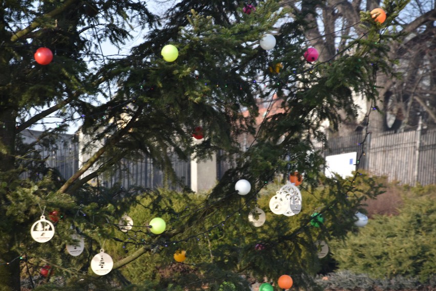 Na Jasnej Górze stanęła kilkunastometrowa choinka